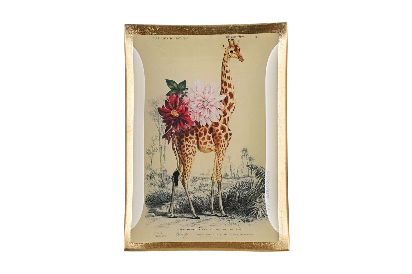 LOVE PLATES “GIRAFFA”