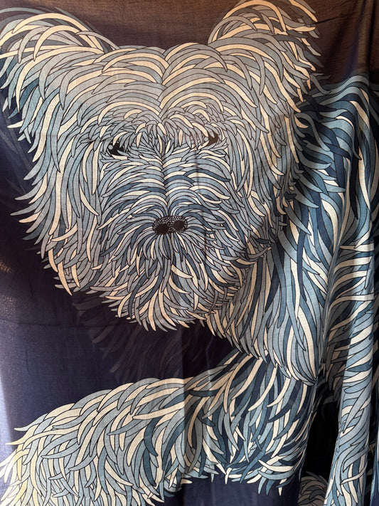 Sciarpa Freddy Inoui