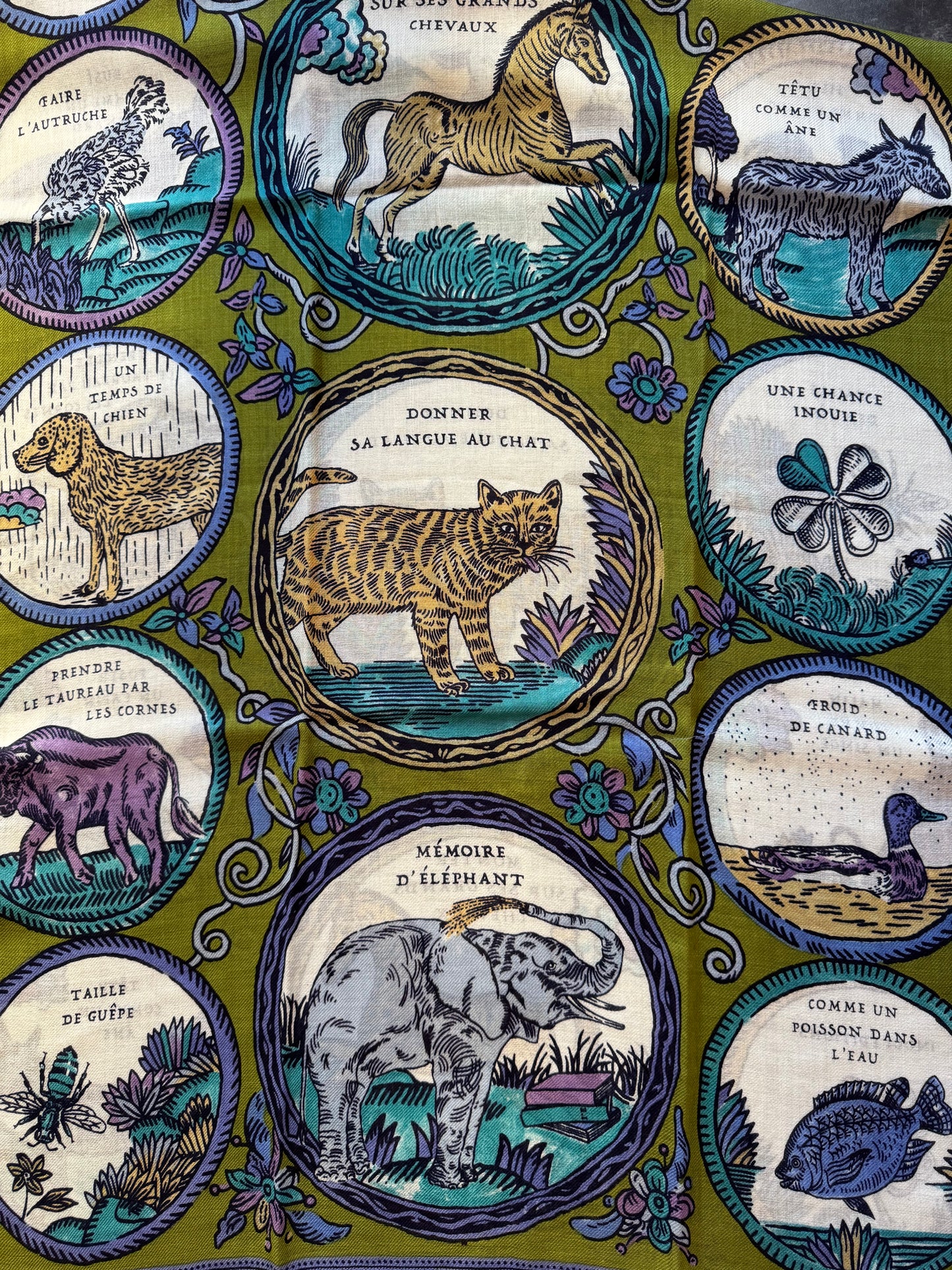 Sciarpa Chance kaki Inoui