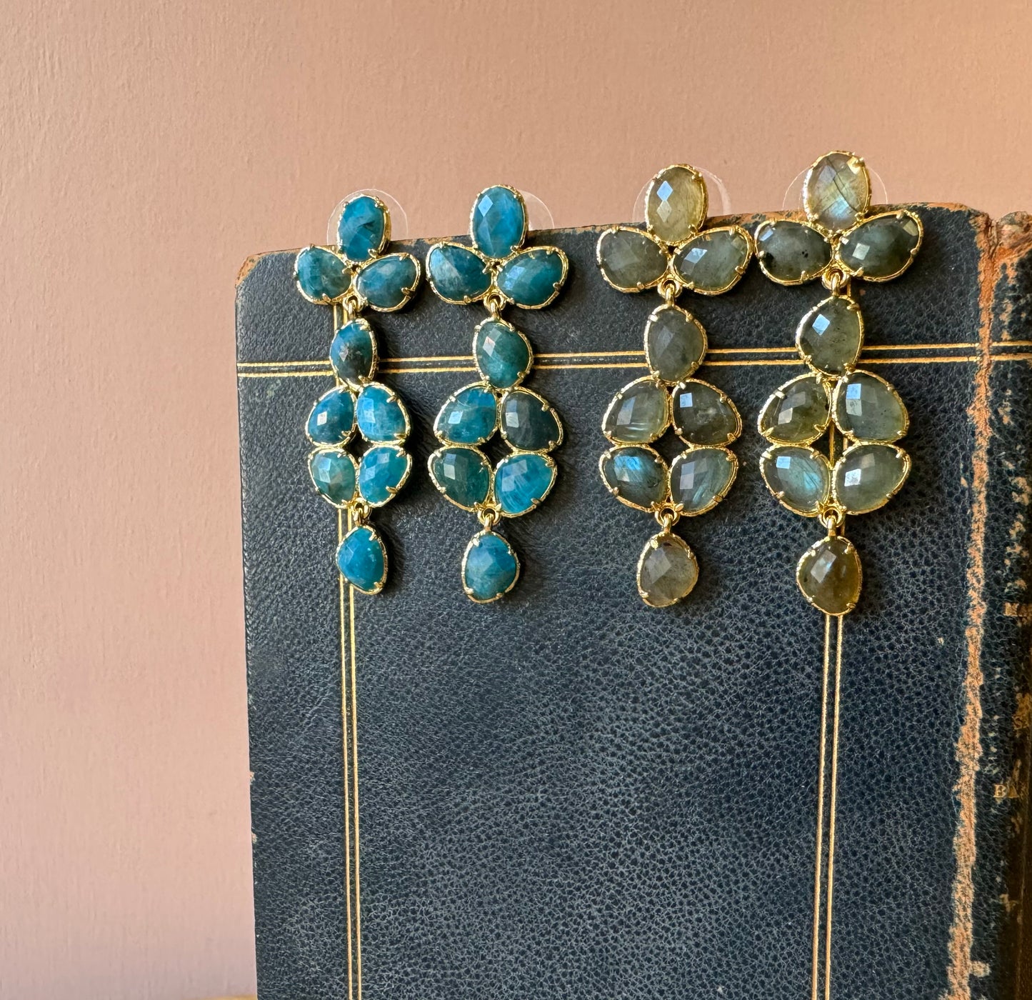 Orecchini fiore d’inverno