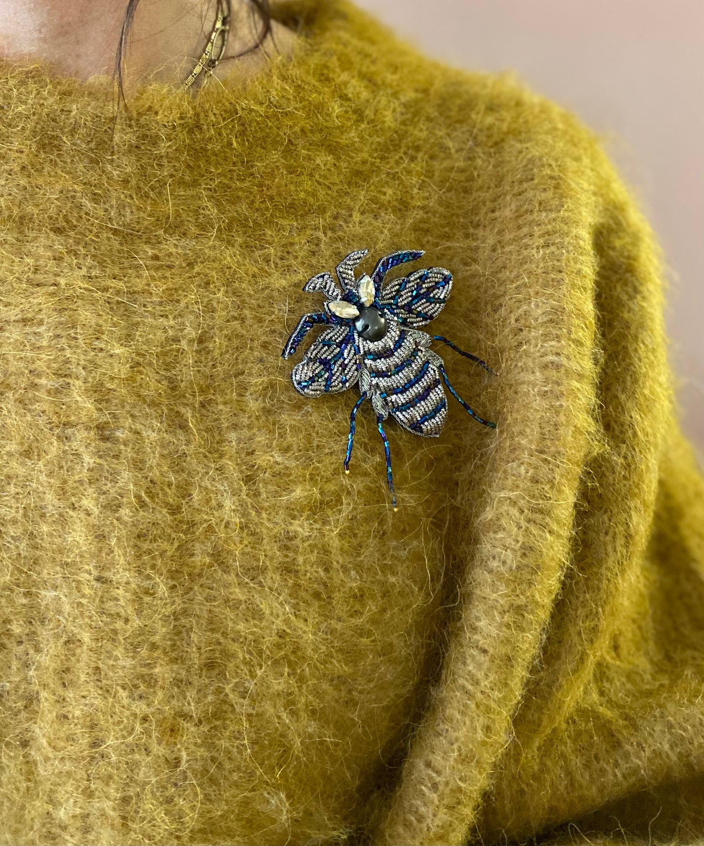 Spille insetti