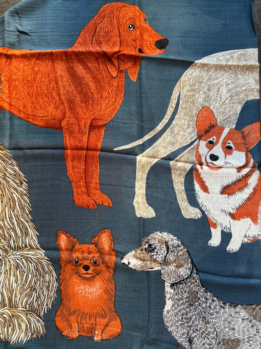 Sciarpa Toutou canard Inoui