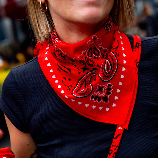 Petit foulard bandana  Mon Petit Leon