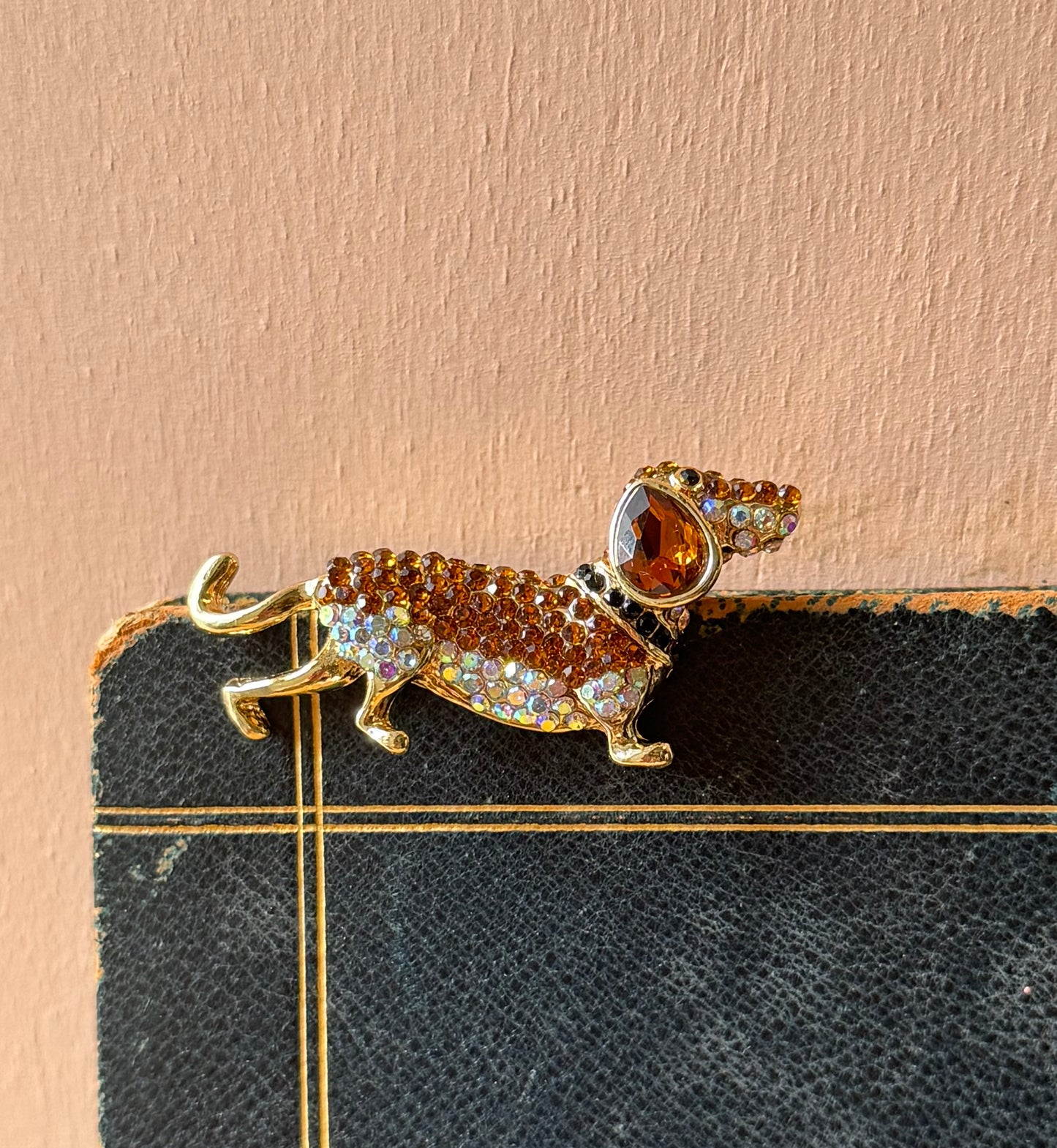 Spille Cagnolini