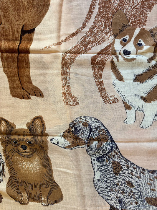 Sciarpa Toutou nude Inoui