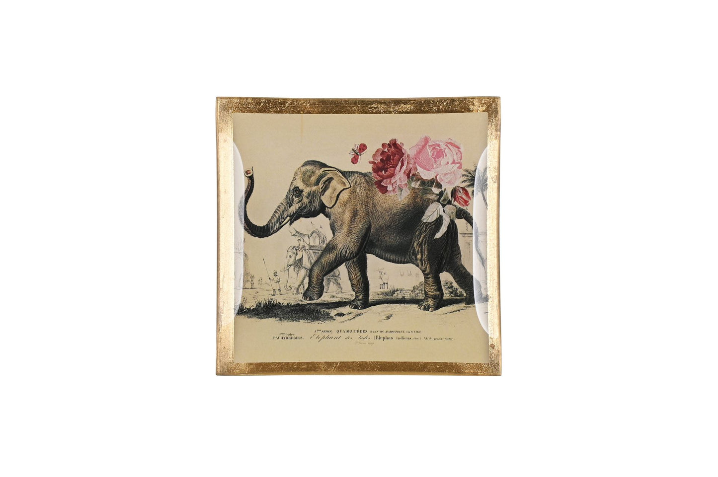 LOVE PLATES “ELEFANTE”