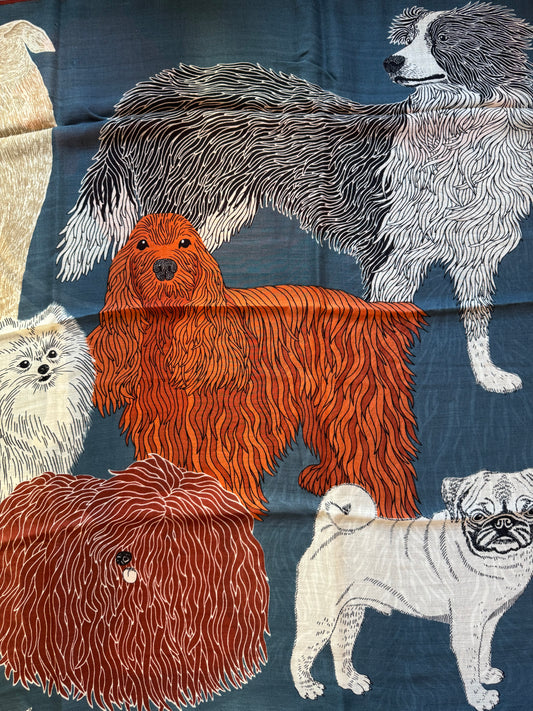 Sciarpa Toutou canard Inoui