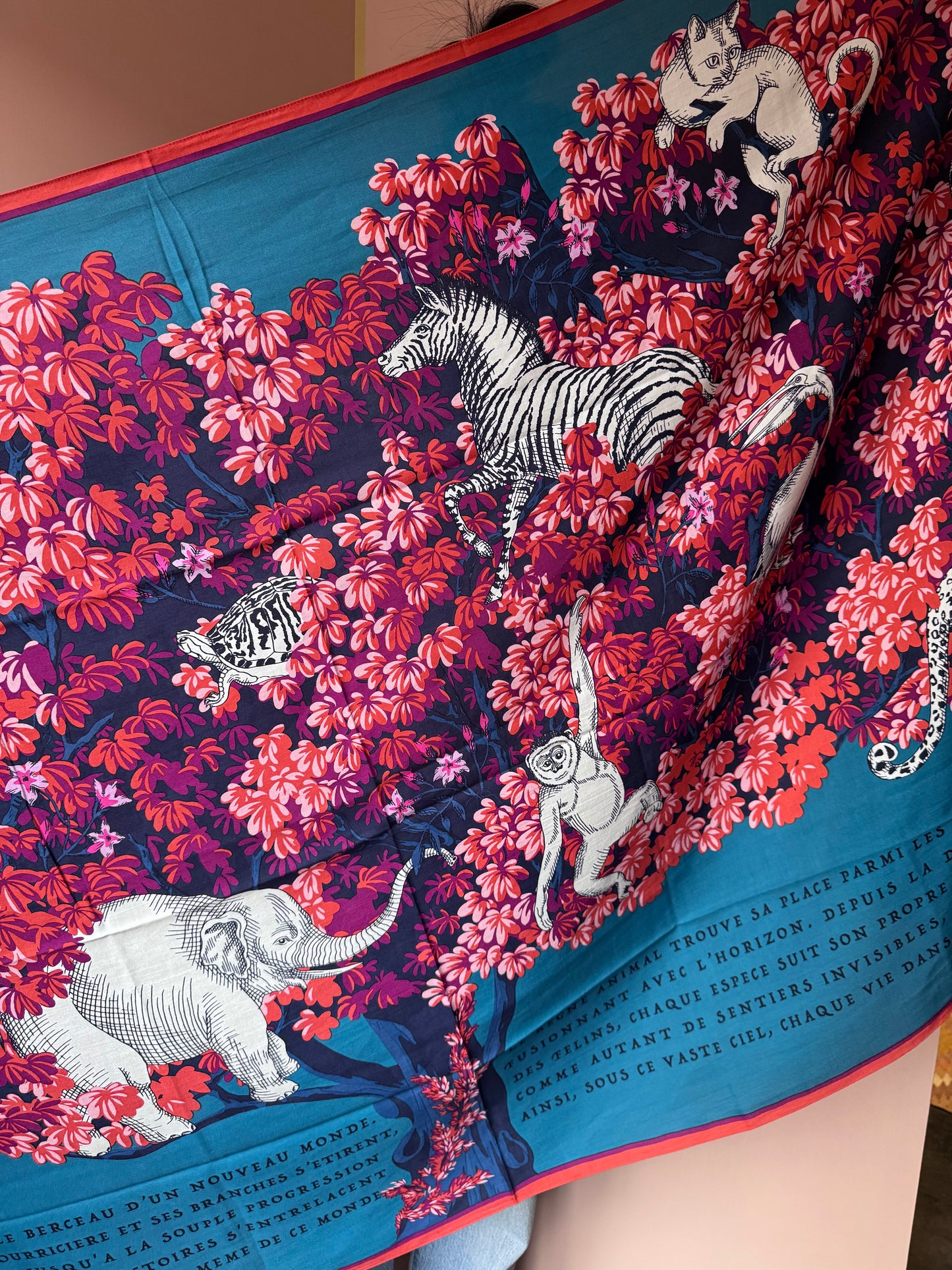 Sciarpa bestiaire fucsia Inoui