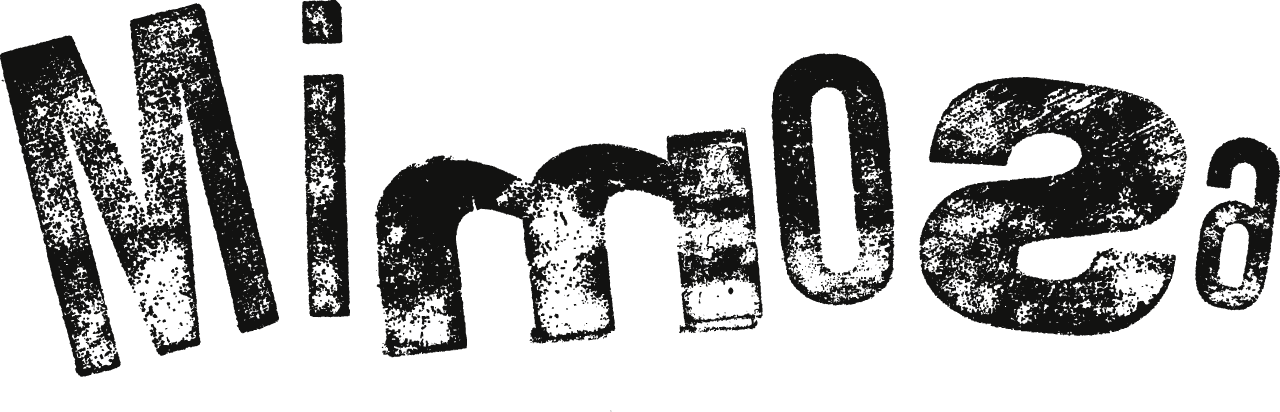 Mimosa Bijoux Abbigliamento e Accessori Mimosa Mondovi